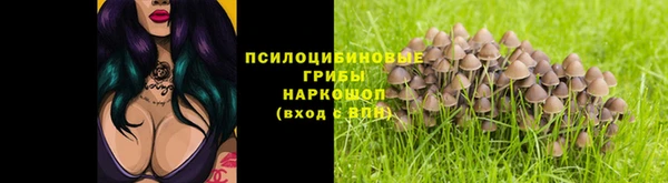 дживик Алексеевка
