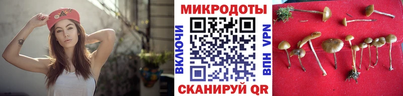 Псилоцибиновые грибы Psilocybe Учалы